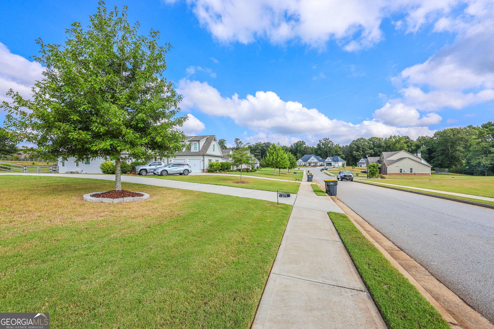 275 Graceton Farms Drive Senoia - Photo 105