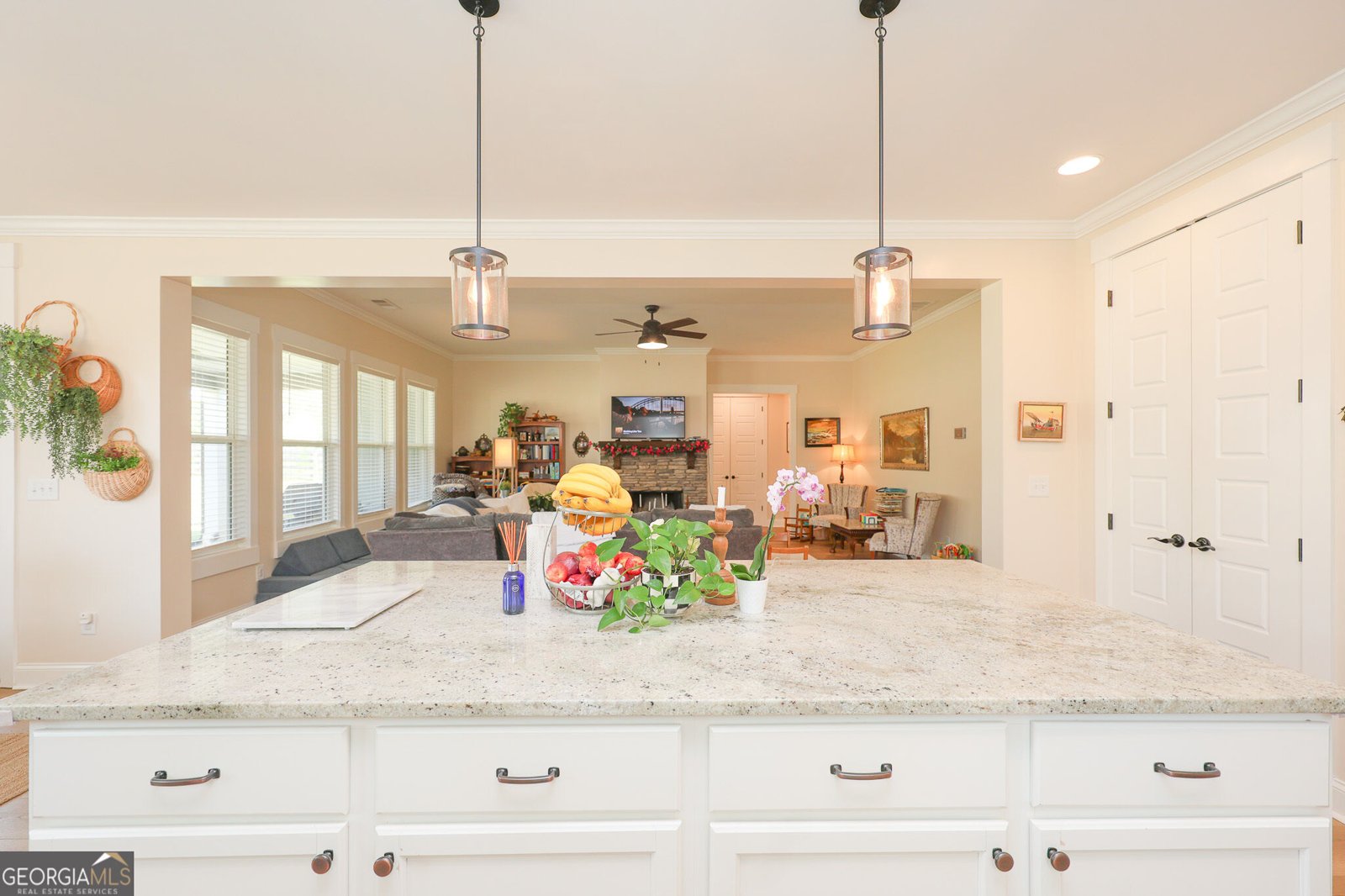 275 Graceton Farms Drive Senoia - Photo 46