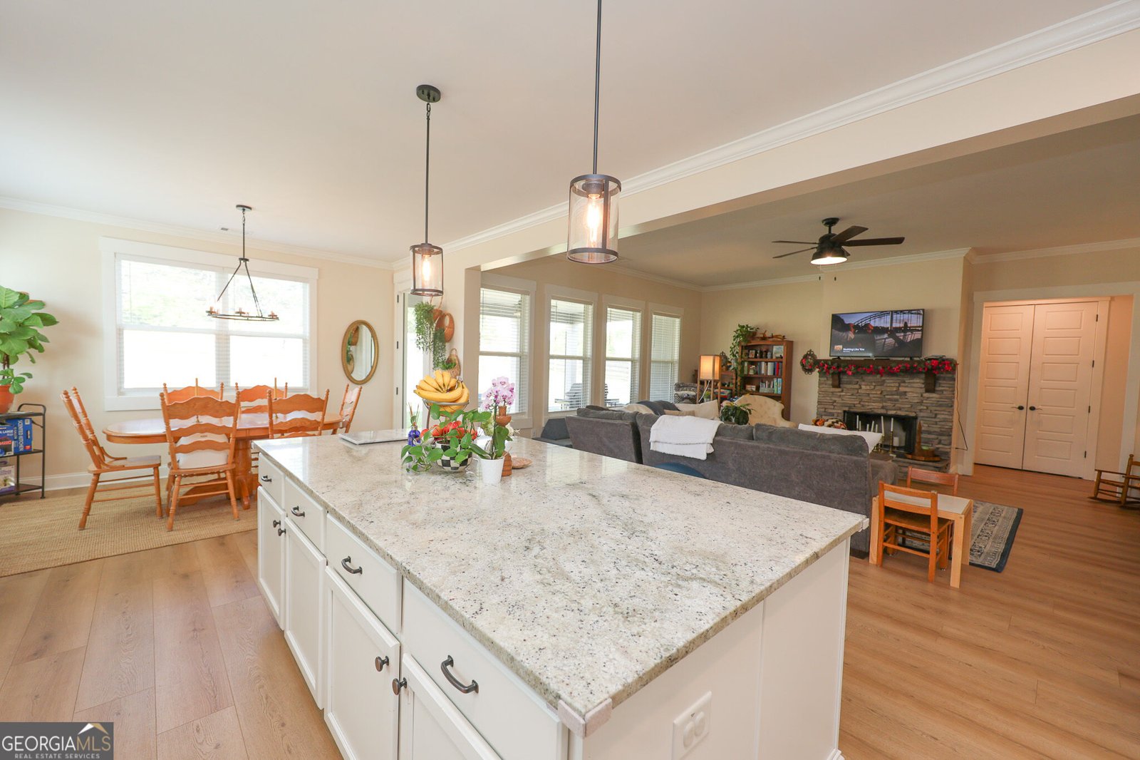 275 Graceton Farms Drive Senoia - Photo 47