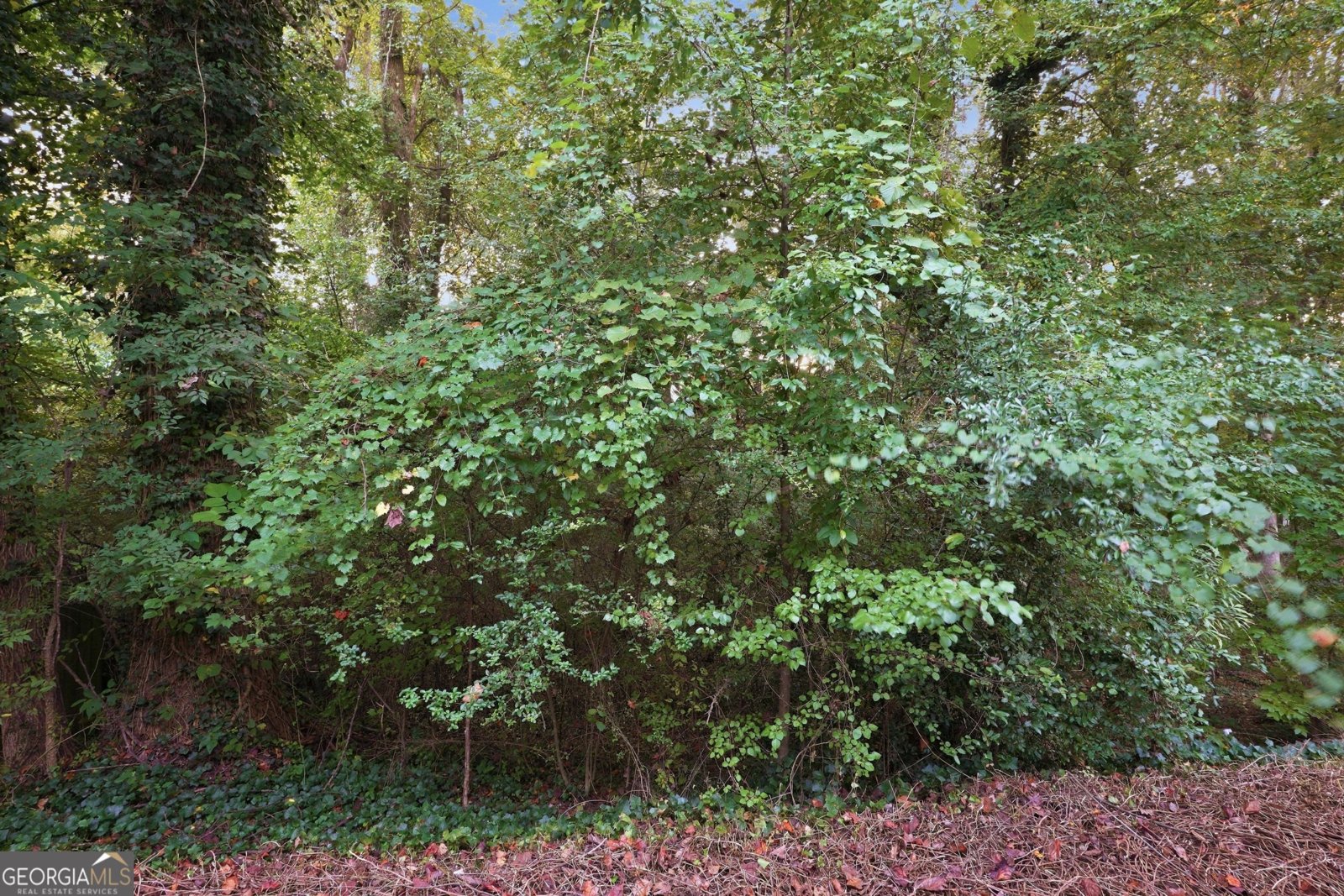 2492 Halcyon Way Lawrenceville - Photo 58