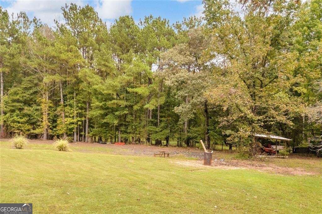 532 Bill Watkins Road Hoschton - Photo 44