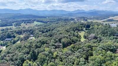 169 C H Colwell Drive Blairsville - Photo 46