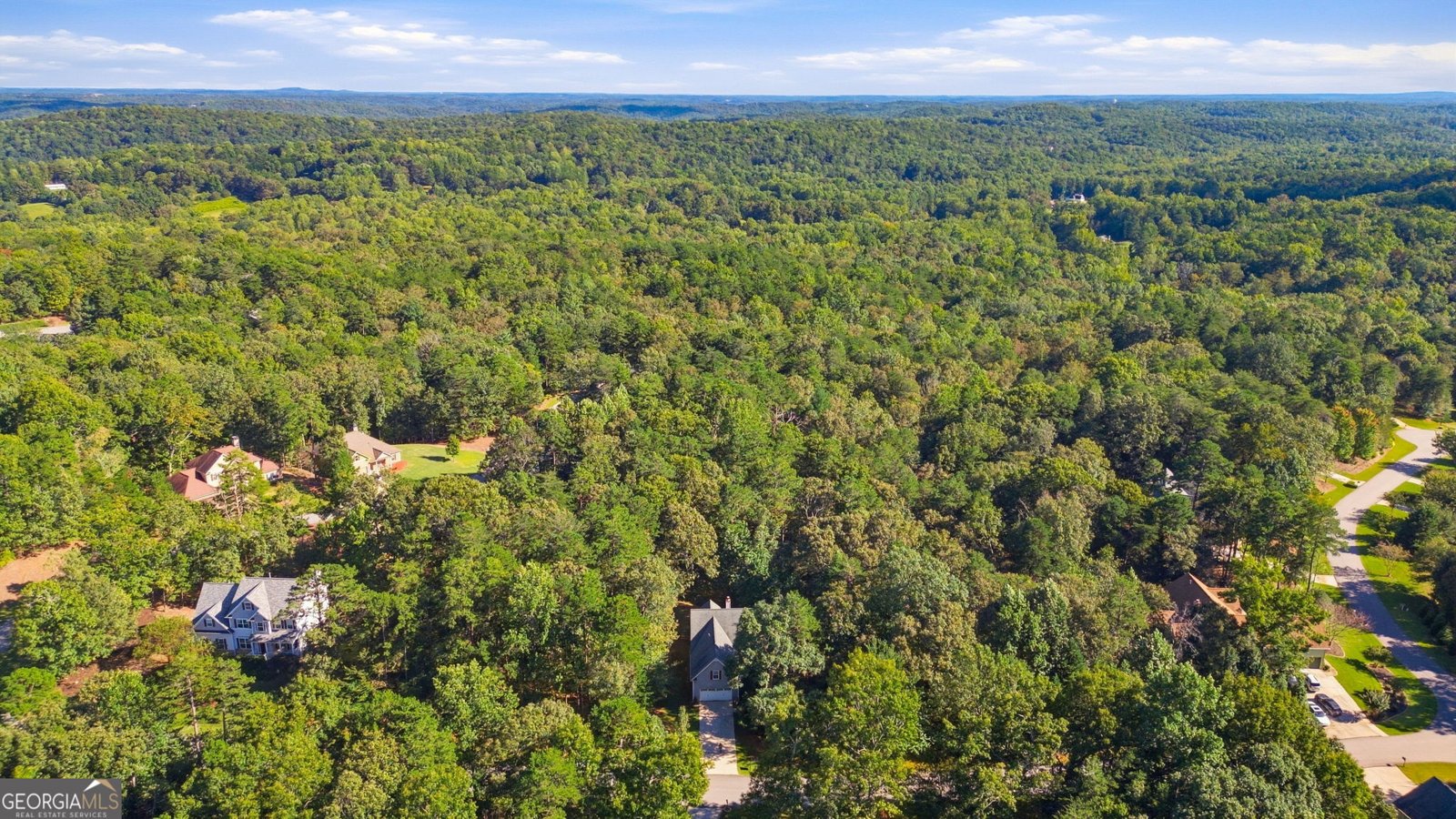 68 High Creek Drive Dahlonega - Photo 29