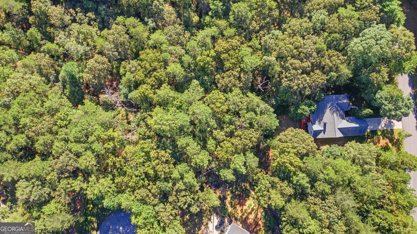 68 High Creek Drive Dahlonega - Photo 31