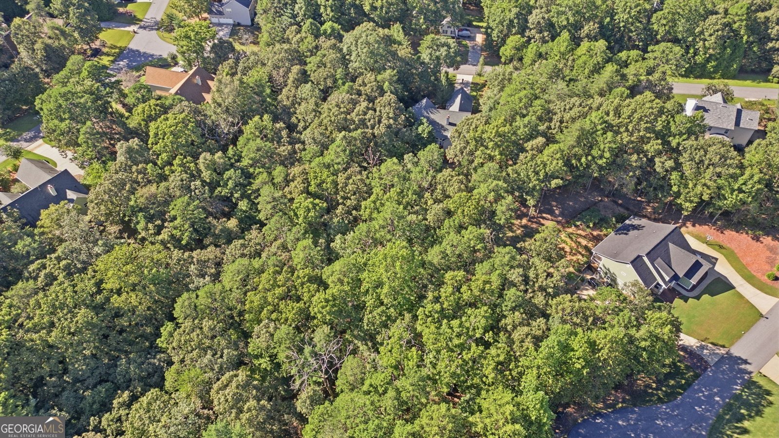 68 High Creek Drive Dahlonega - Photo 32