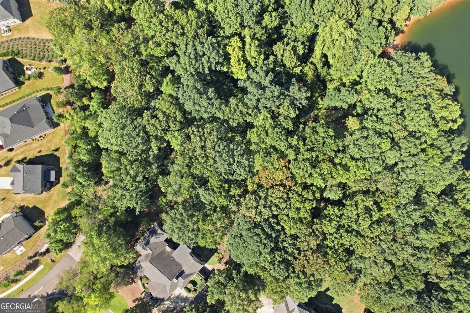 413 Hudson Cove Trail Gainesville - Photo 49