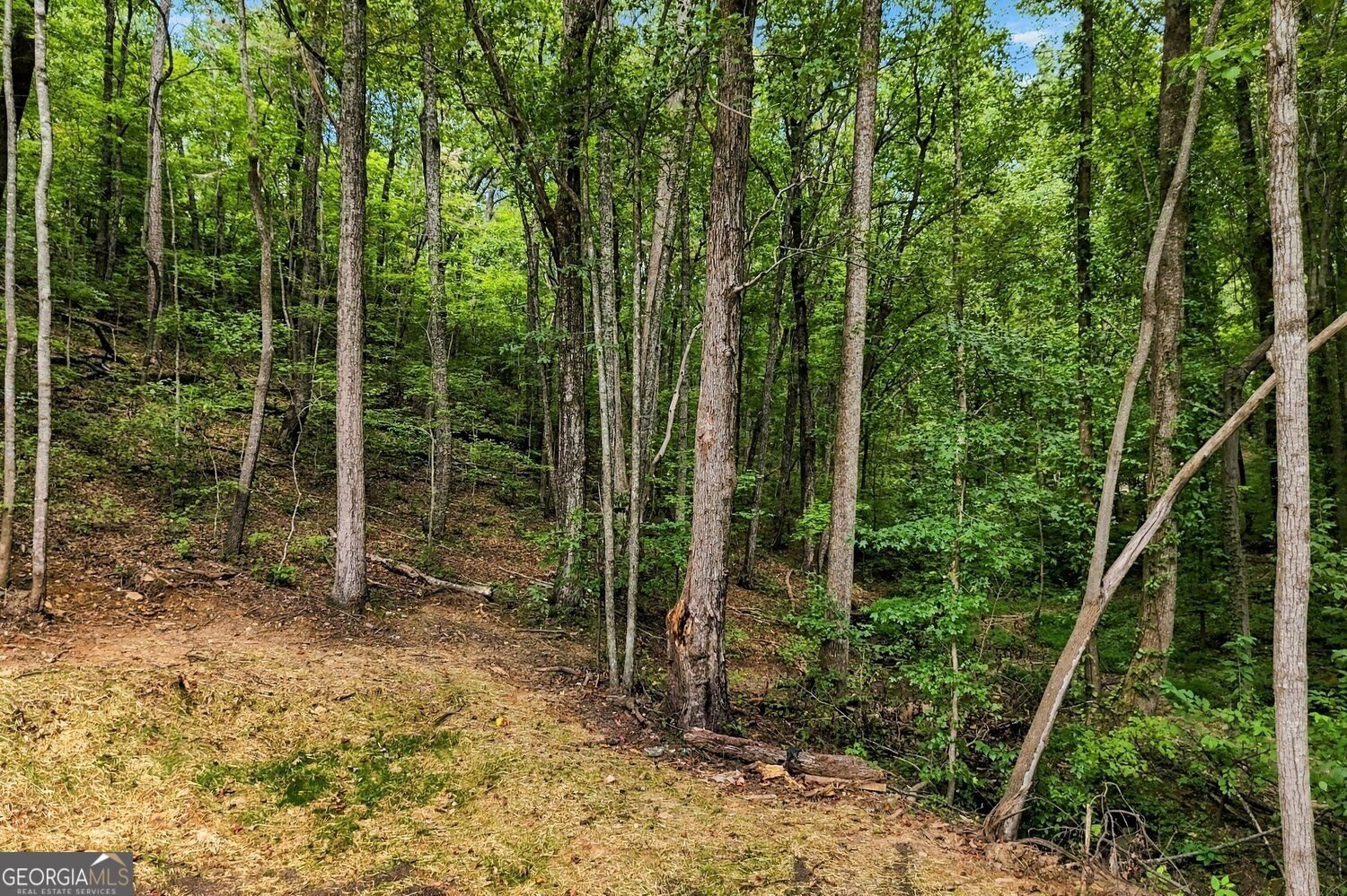 2296 Highway 136 East Jasper - Photo 40