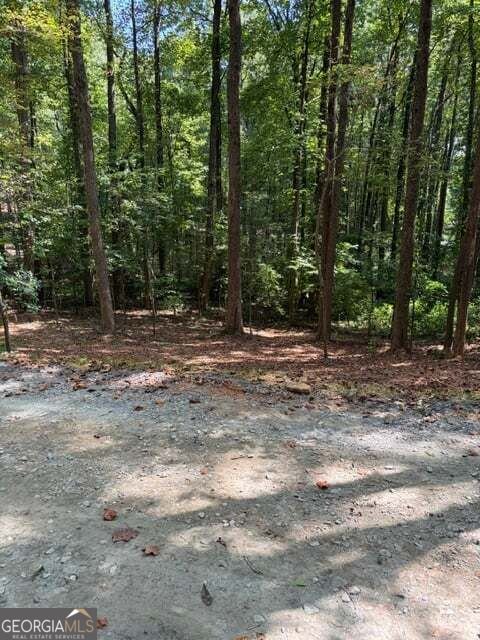 2296 Highway 136 East Jasper - Photo 46