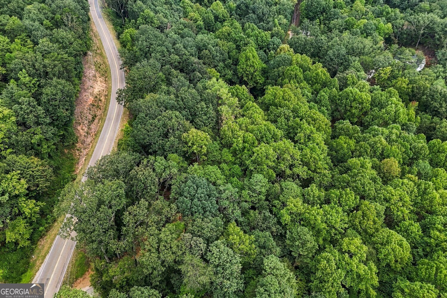 2296 Highway 136 East Jasper - Photo 51