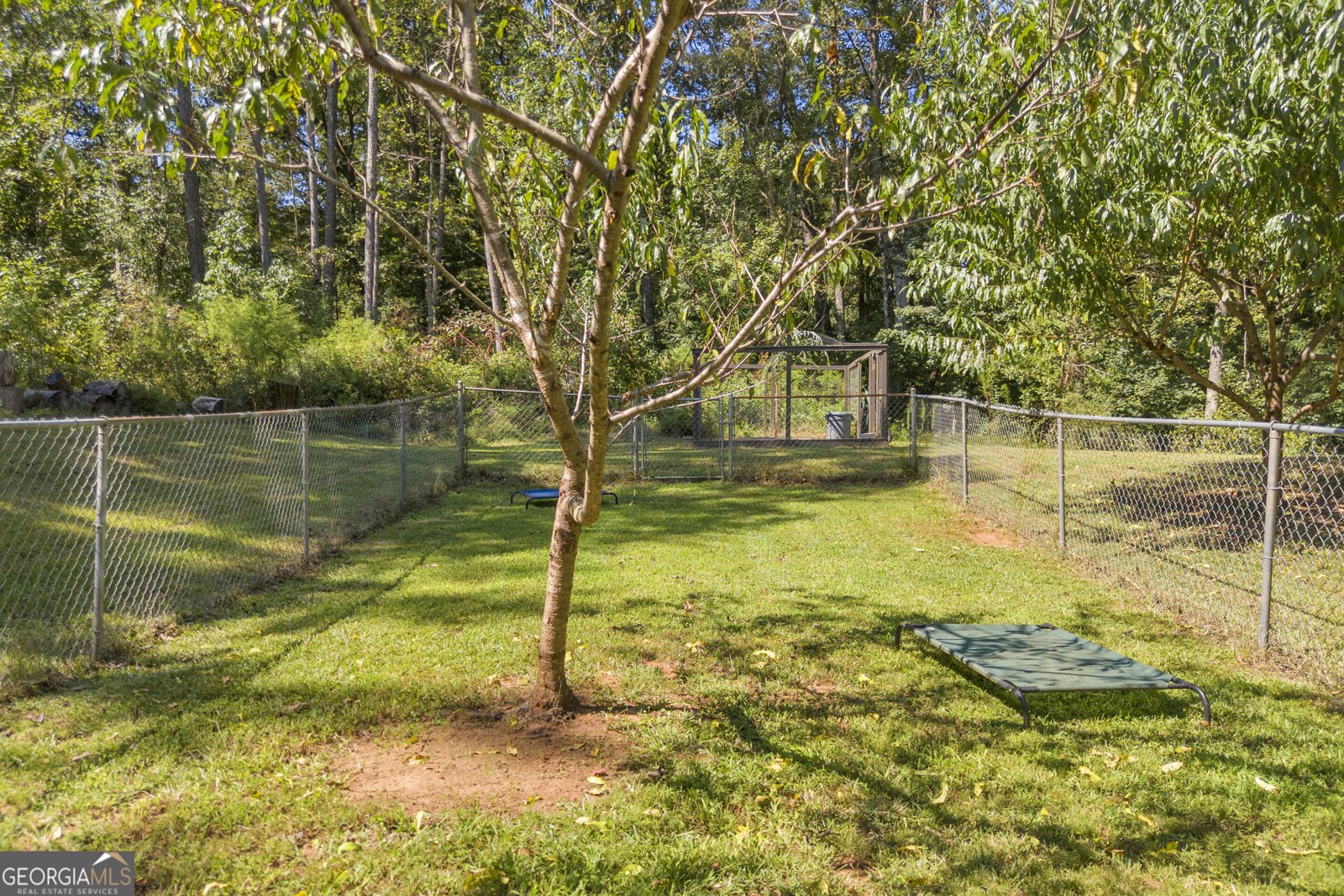 456 Brown Bridge Road Auburn - Photo 49