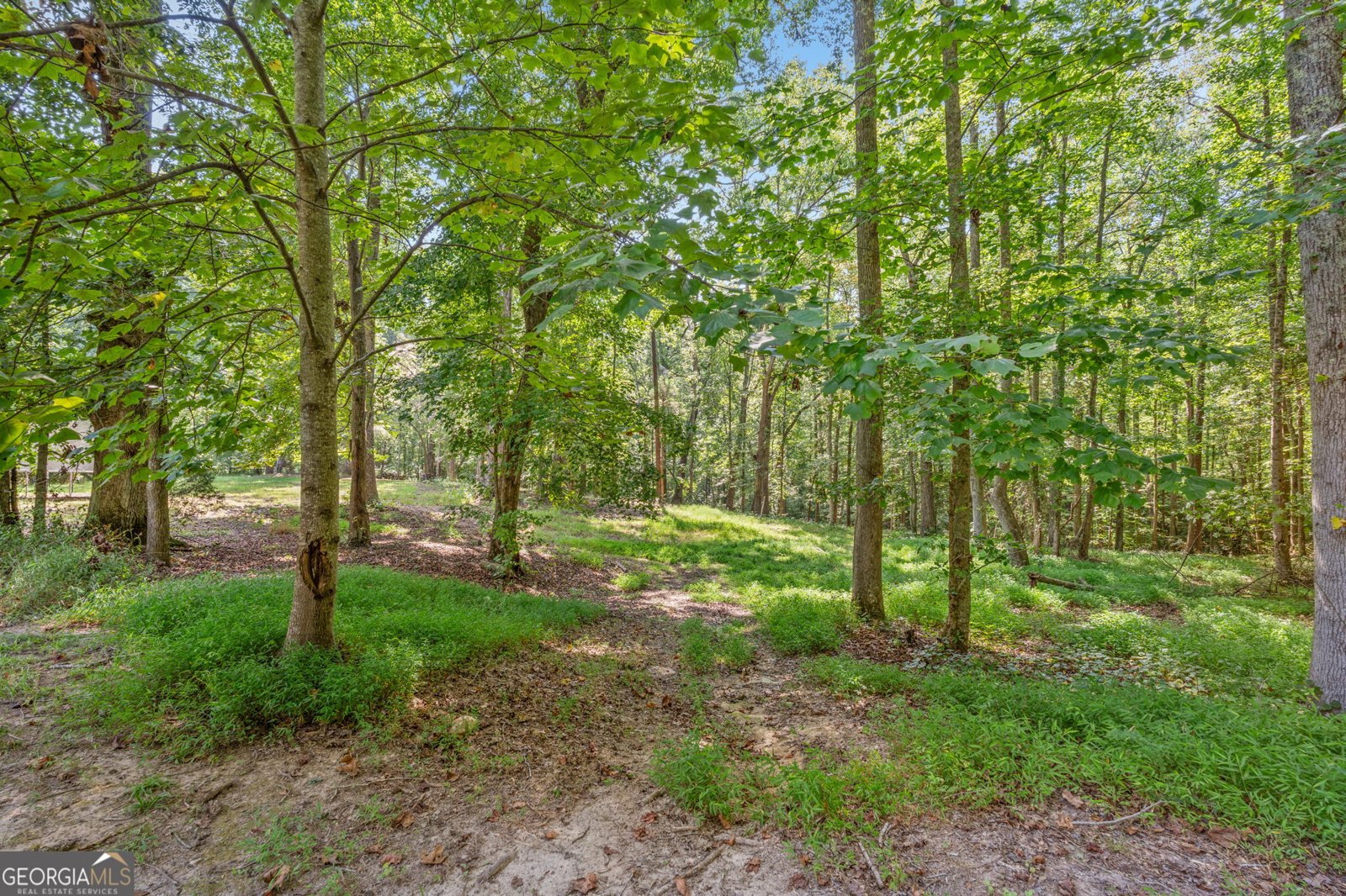 7180 Westray Road Cumming - Photo 114