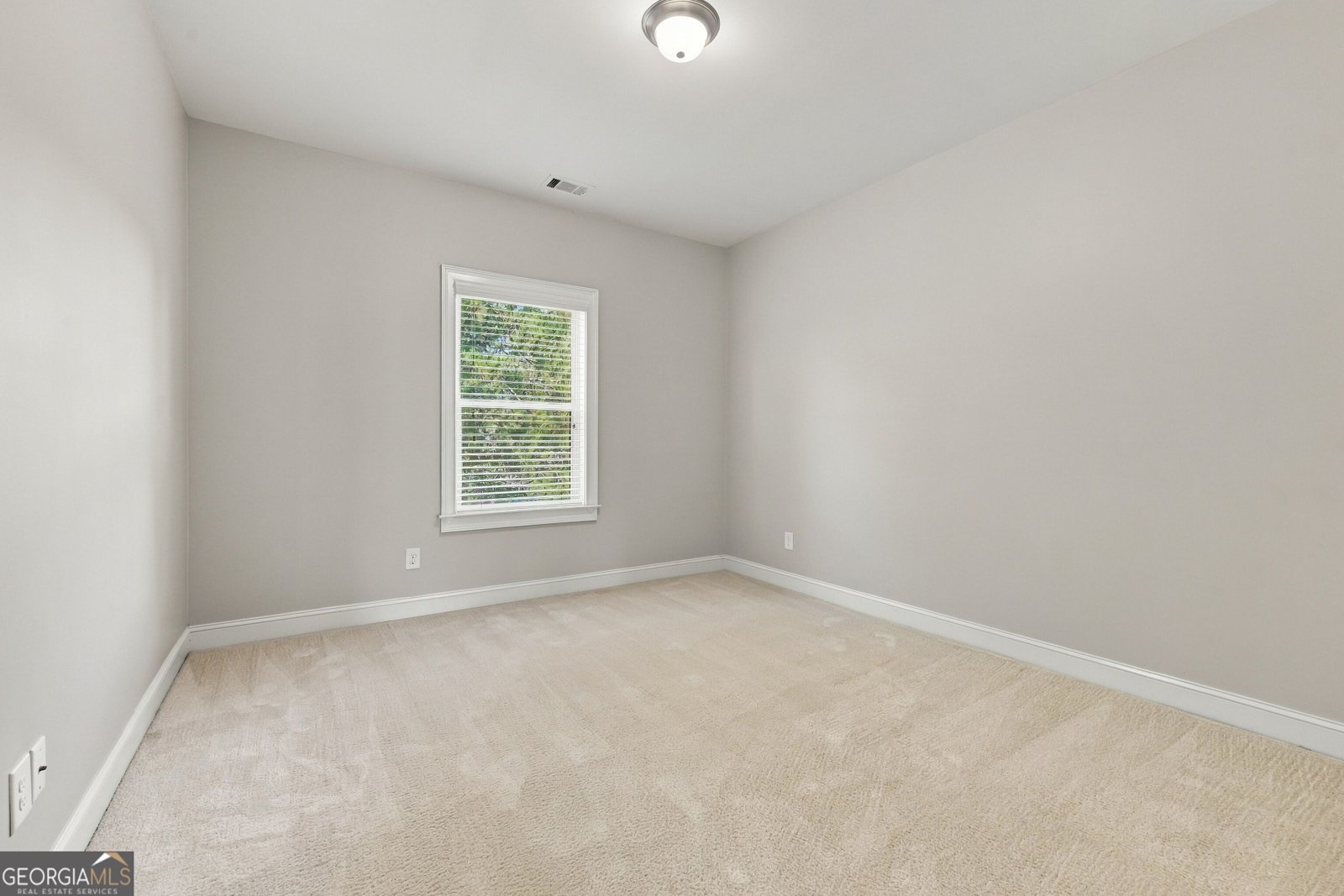1530 Dahlia Drive Cumming - Photo 29