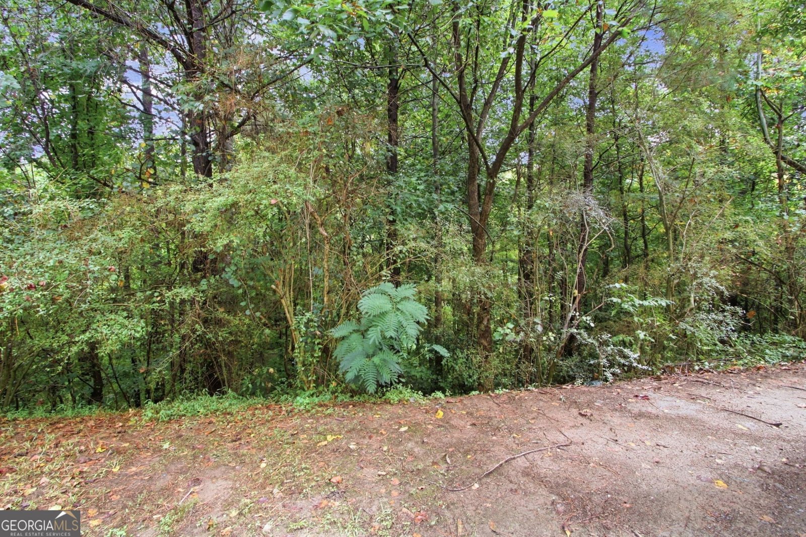 4290 Rosehall Court Atlanta - Photo 38
