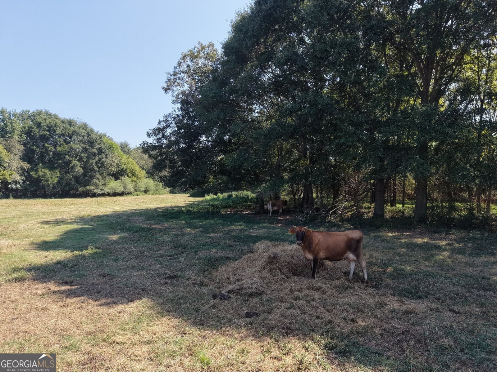 5587 Elberton Highway Hartwell - Photo 115
