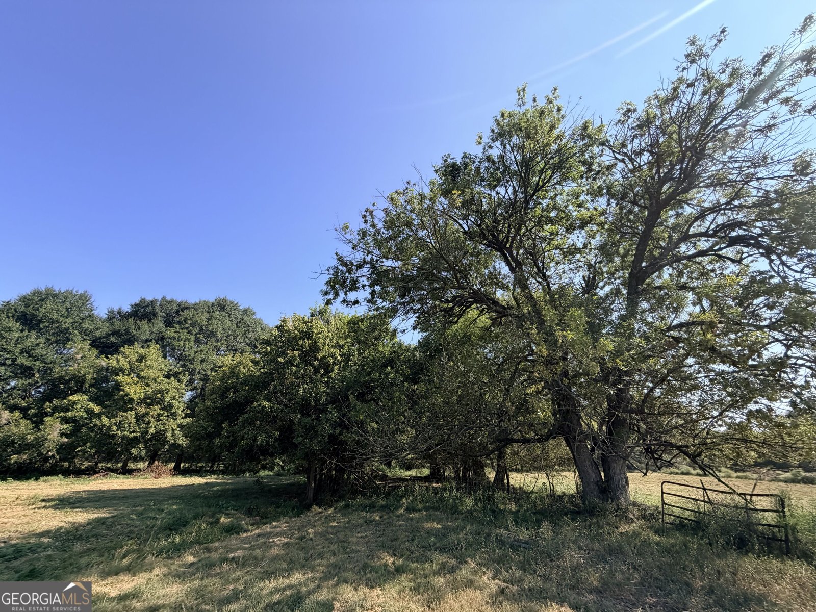5587 Elberton Highway Hartwell - Photo 84