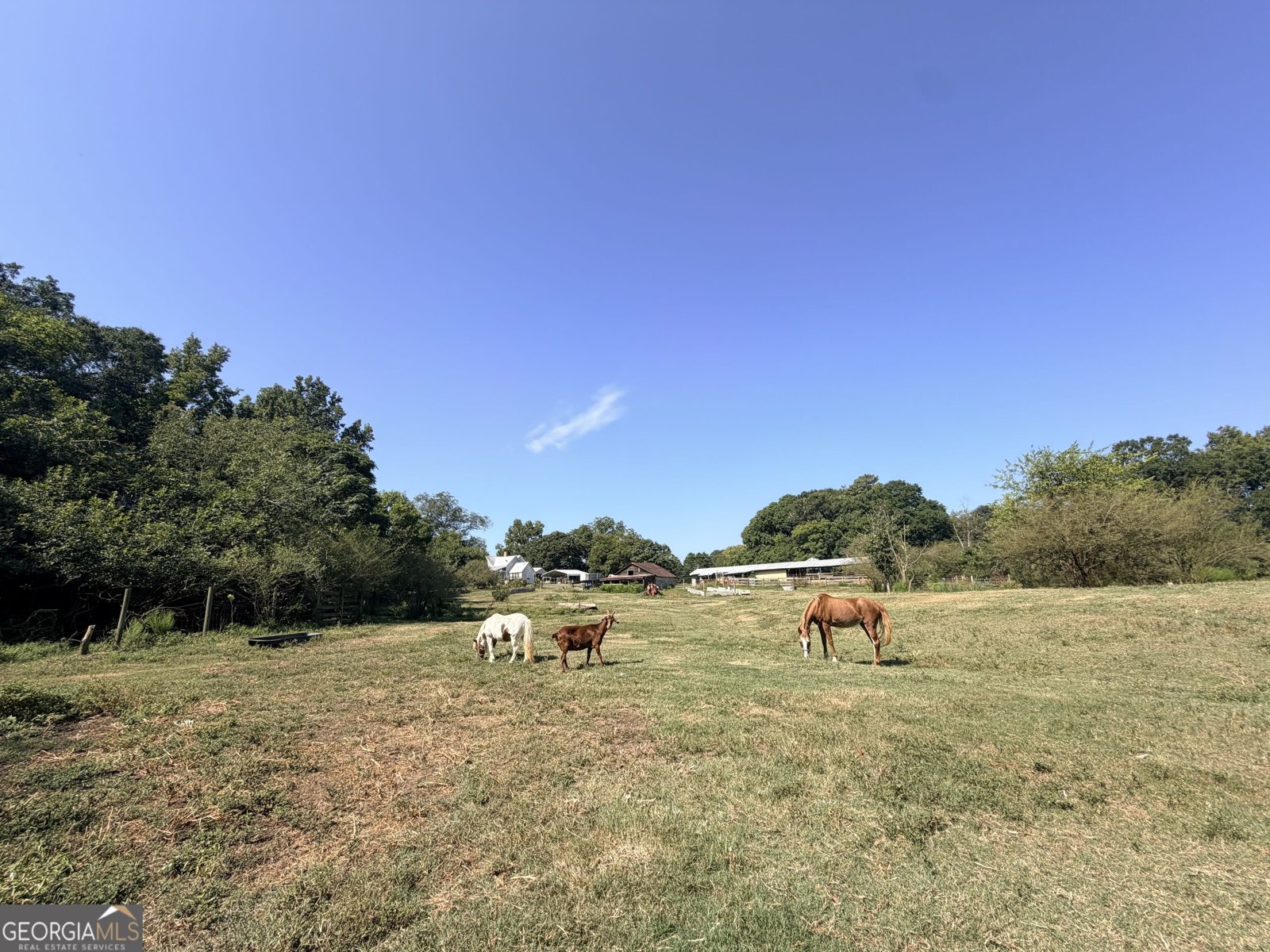 5587 Elberton Highway Hartwell - Photo 98
