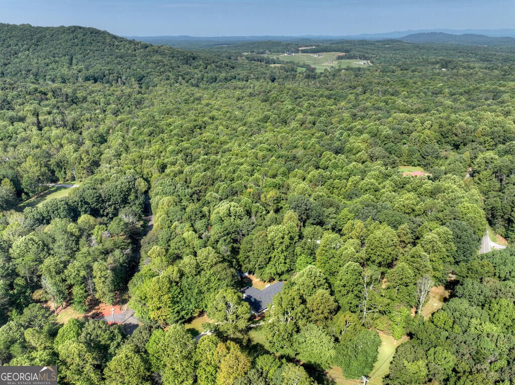 46 White Oak Drive Talking Rock - Photo 10