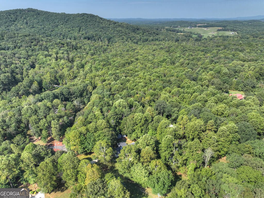 46 White Oak Drive Talking Rock - Photo 11