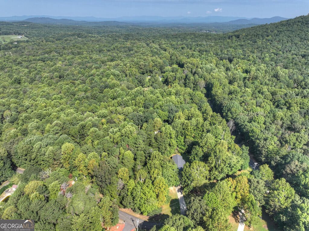 46 White Oak Drive Talking Rock - Photo 12