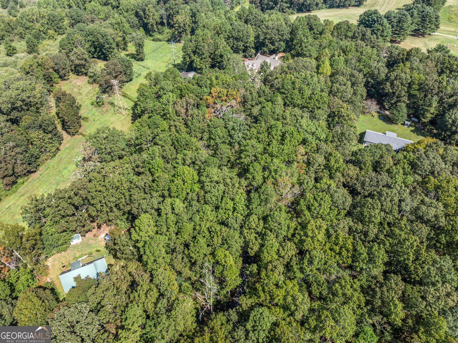 357 Birchwood Drive Clarkesville - Photo 68