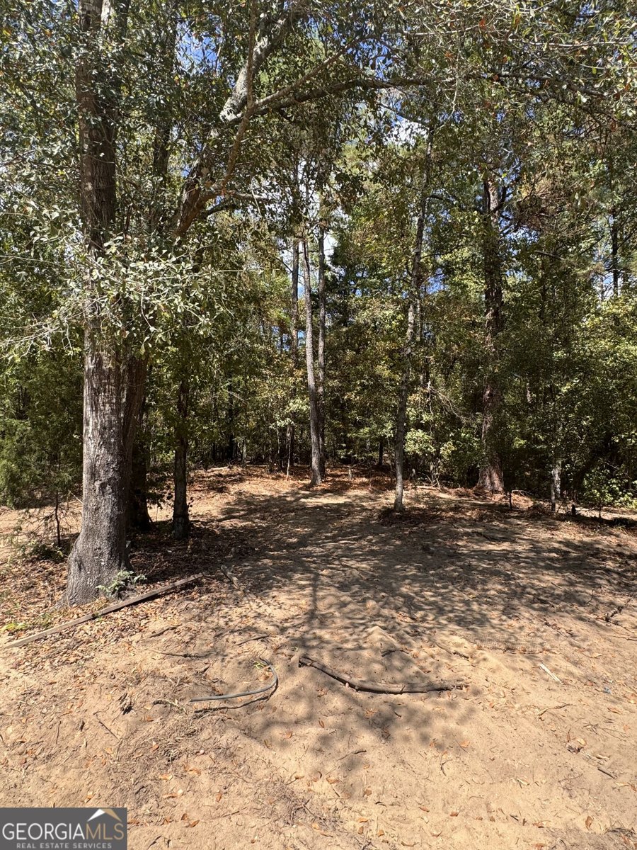 1806 Trawick Road Sandersville - Photo 21