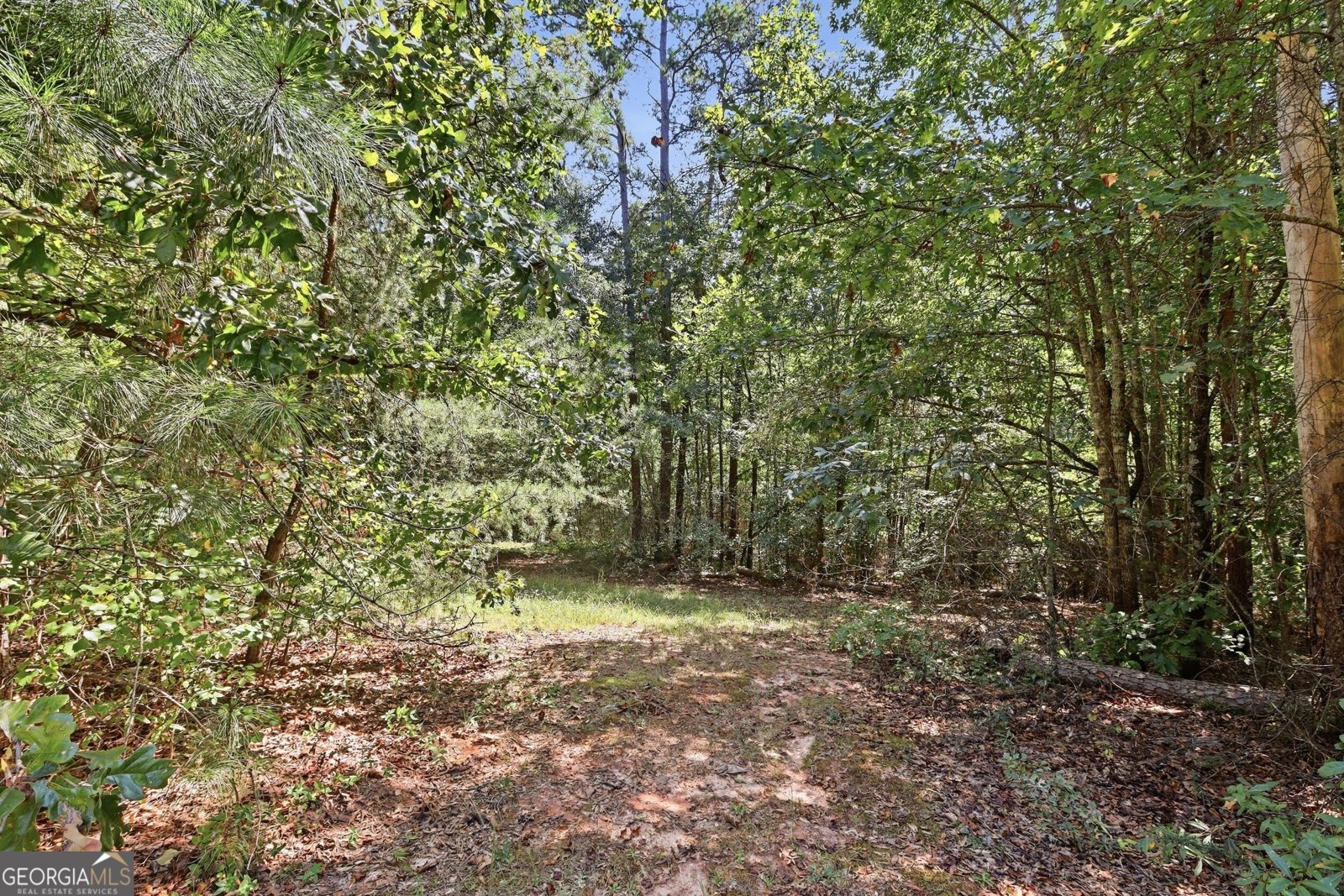 2952 Rock Creek Road Toccoa - Photo 46