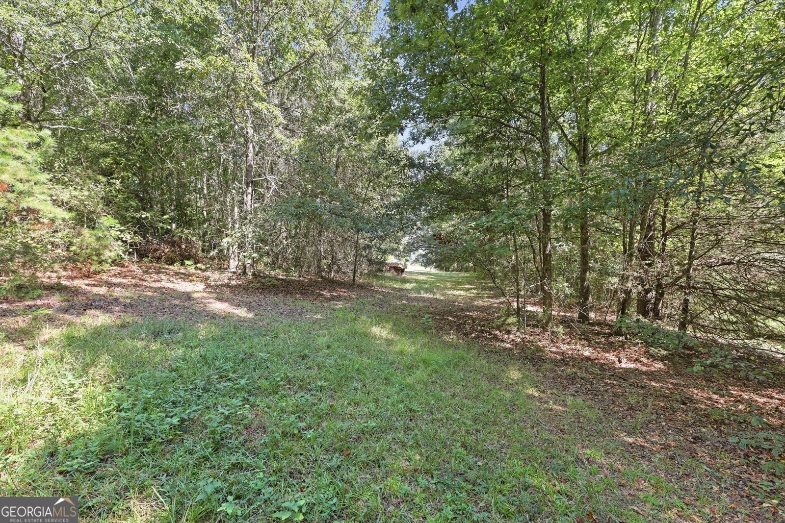 2952 Rock Creek Road Toccoa - Photo 47