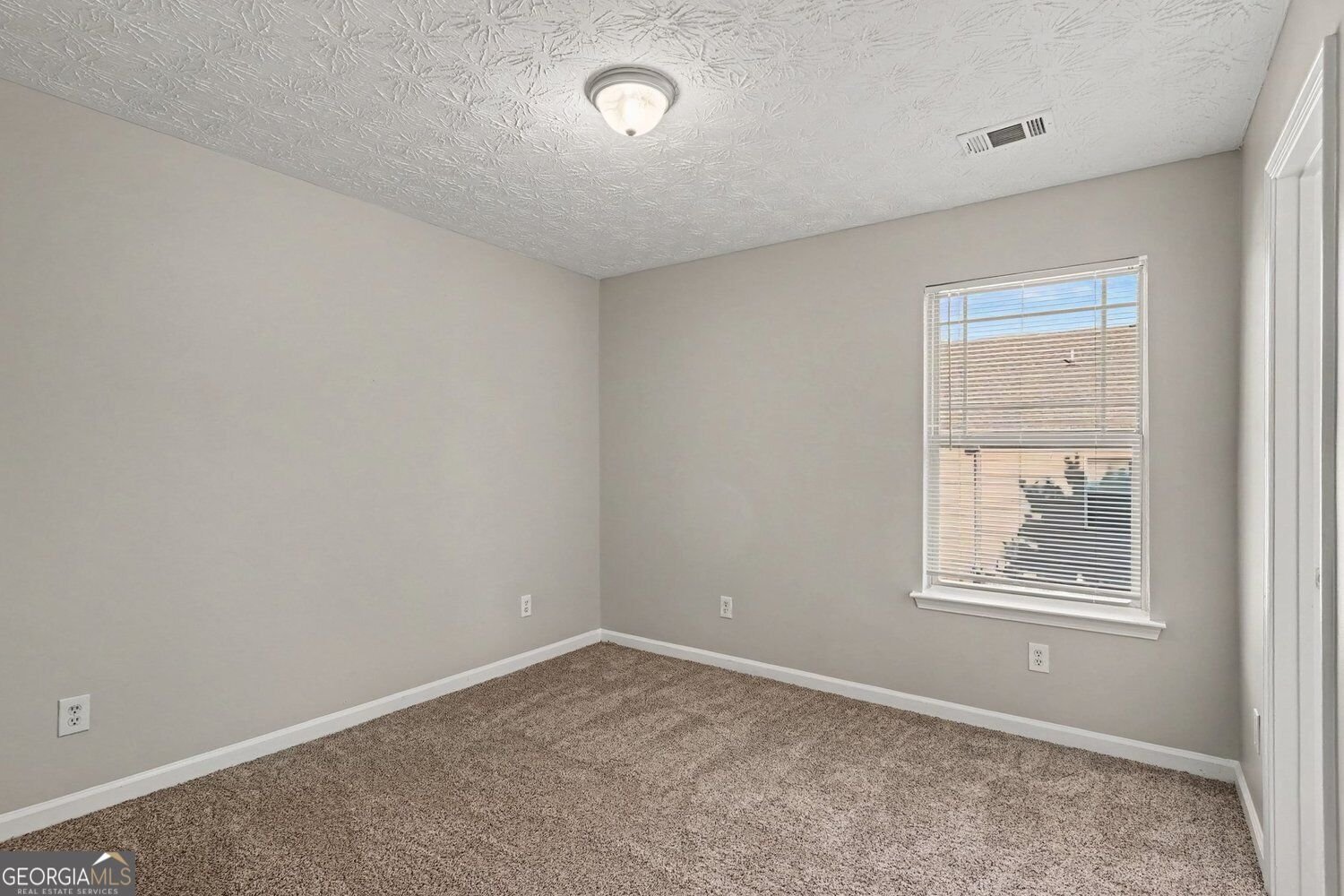 1135 McConaughy Court McDonough - Photo 11