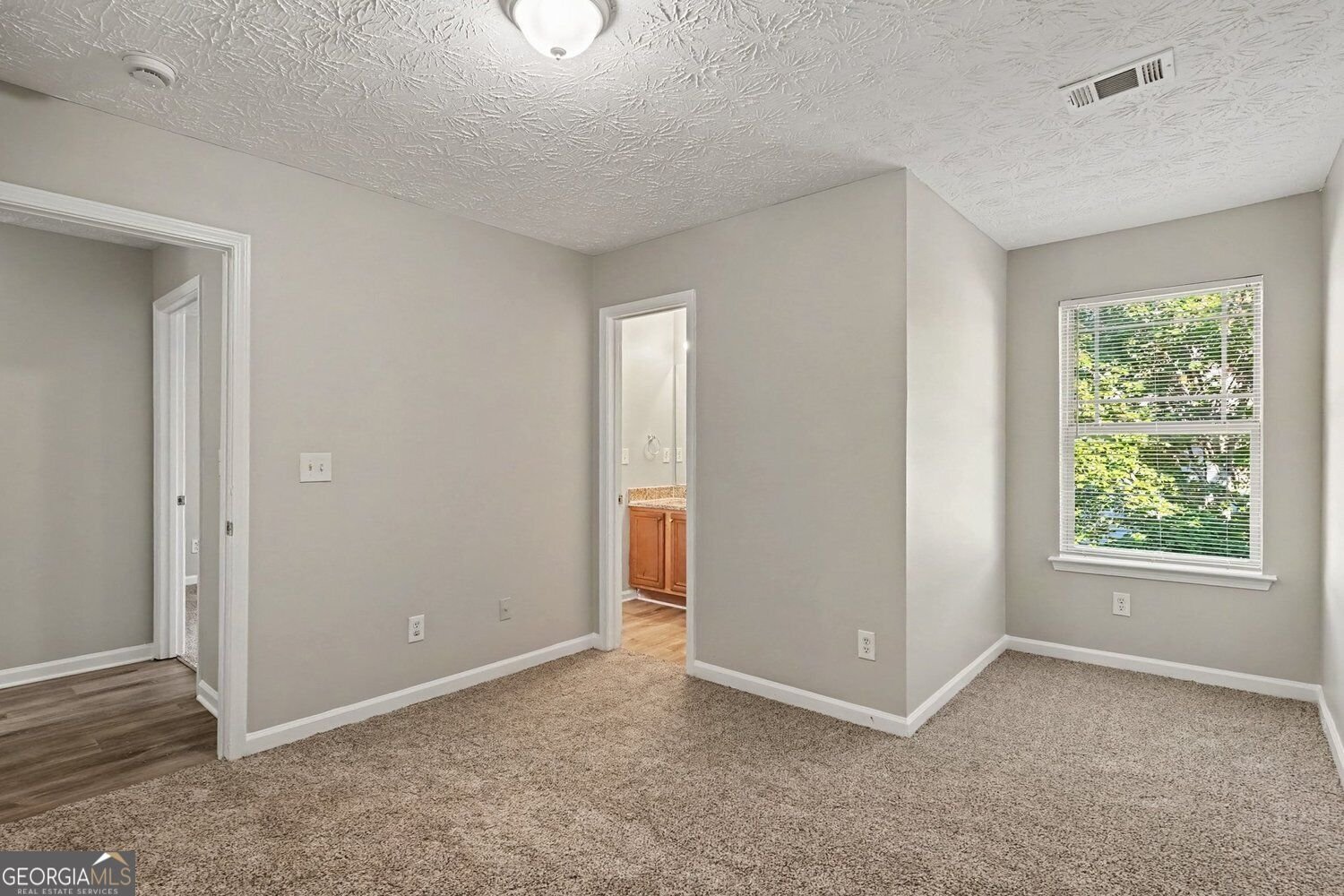 1135 McConaughy Court McDonough - Photo 13