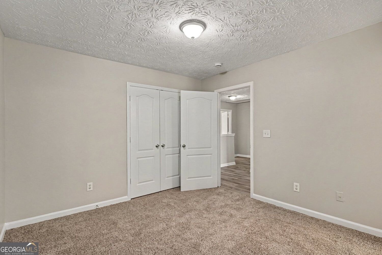 1135 McConaughy Court McDonough - Photo 14