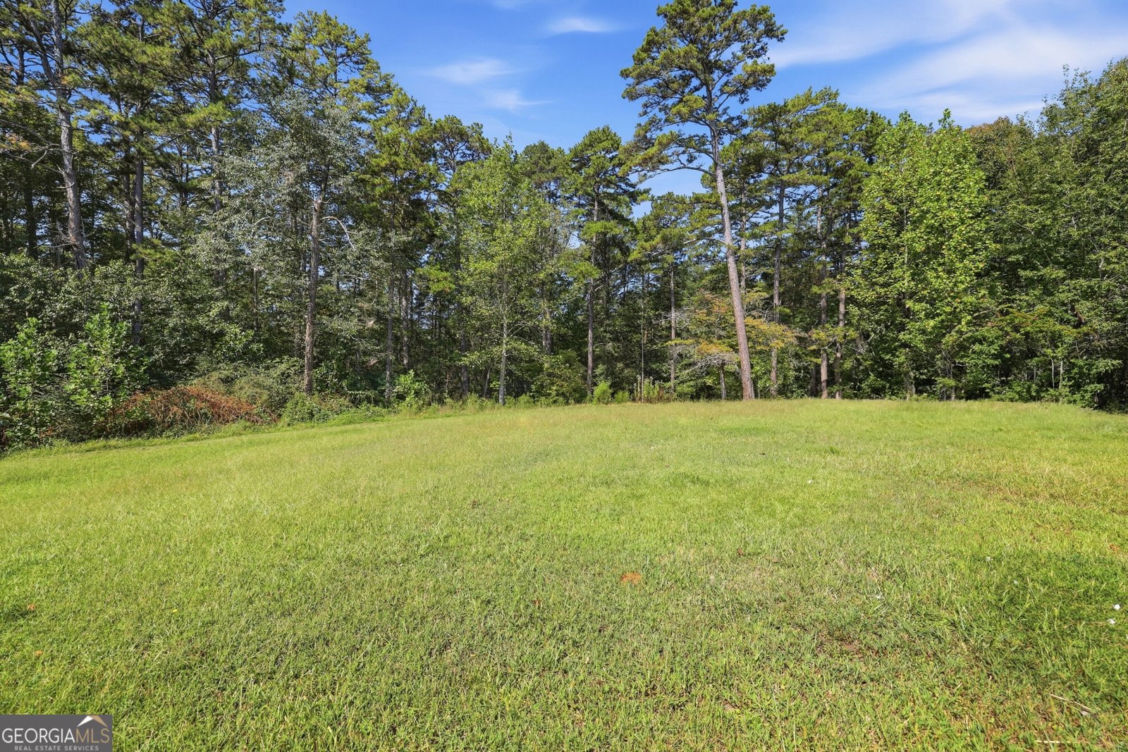 814 Brookdale Road Toccoa - Photo 42