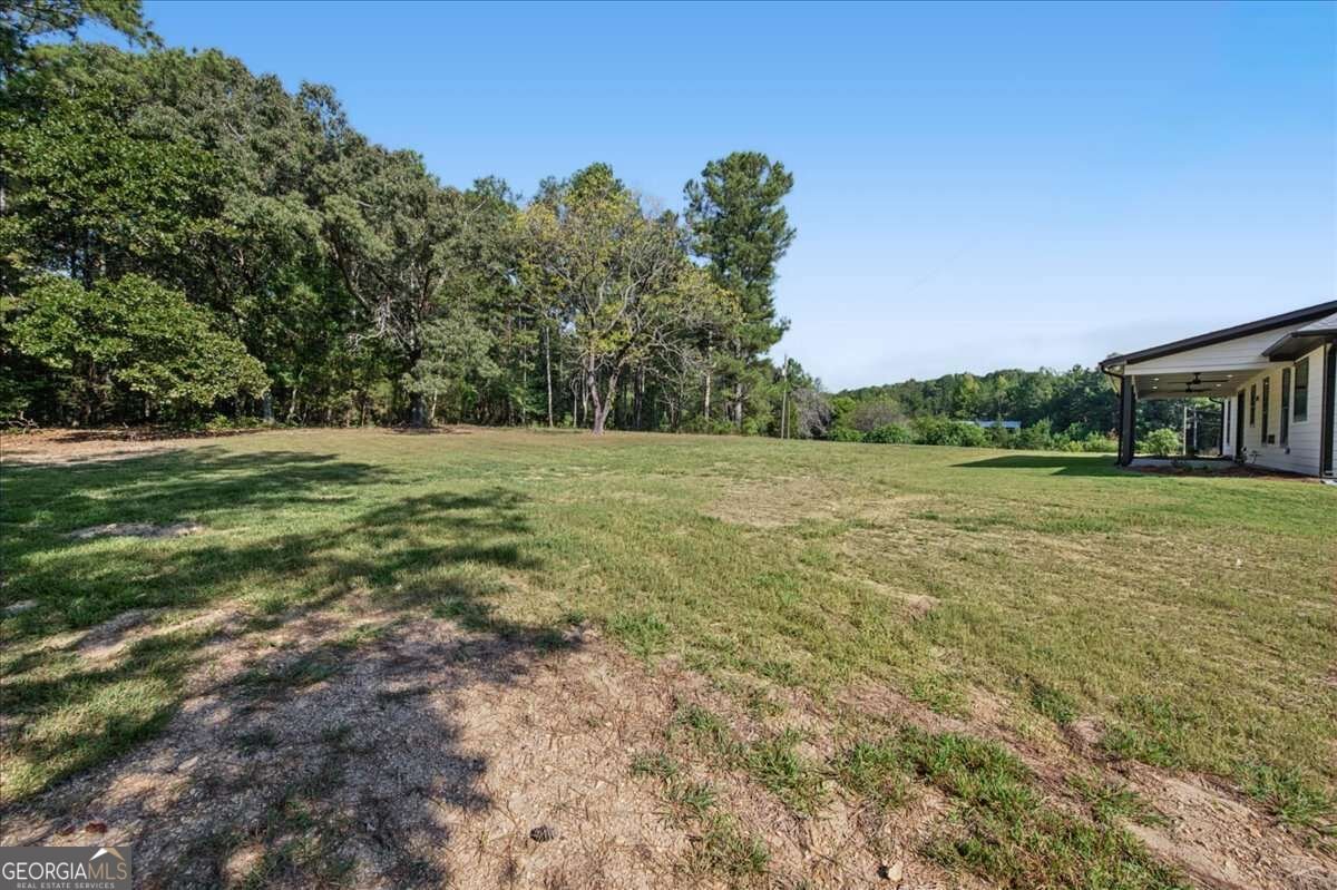 24 Satcher Road Taylorsville - Photo 38