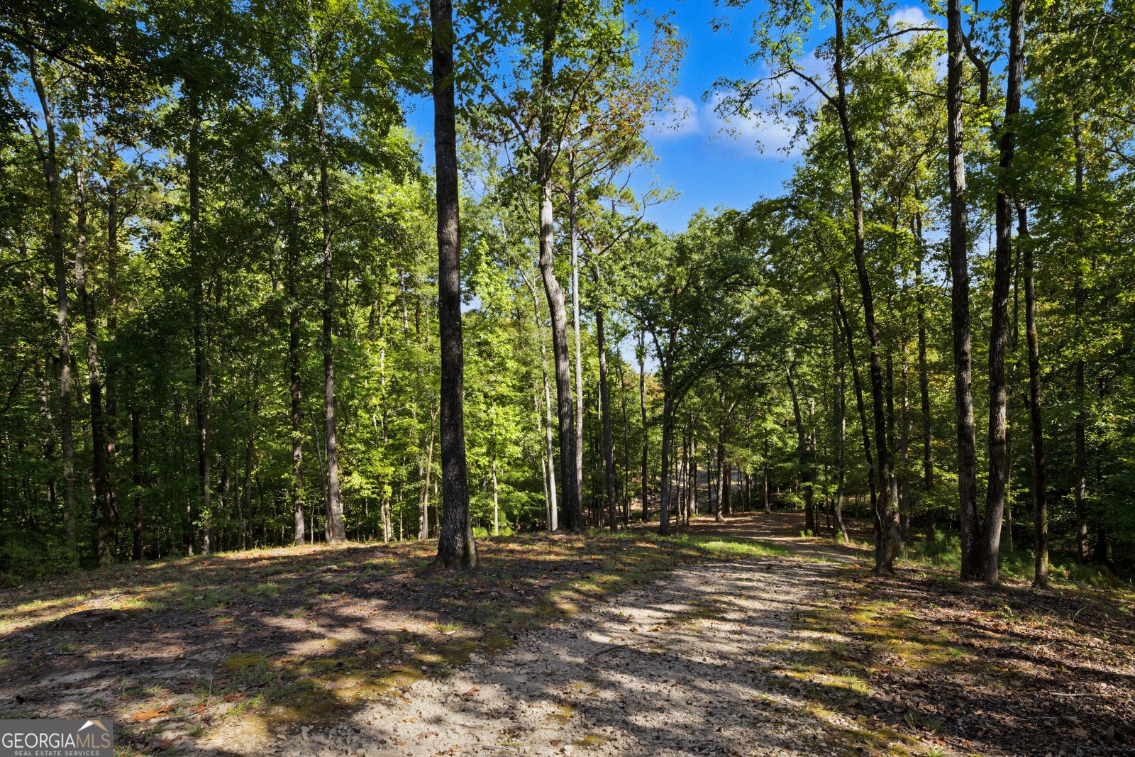 374 Ferrell Tatum Rd Lagrange - Photo 52