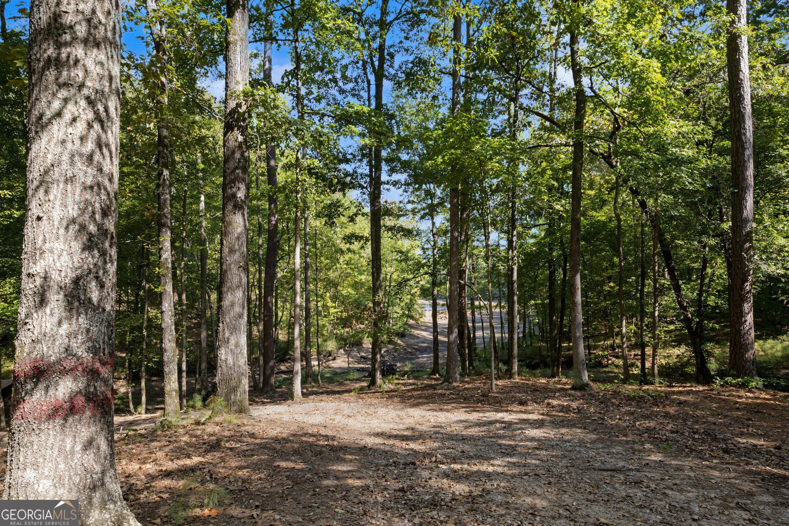 374 Ferrell Tatum Rd Lagrange - Photo 61