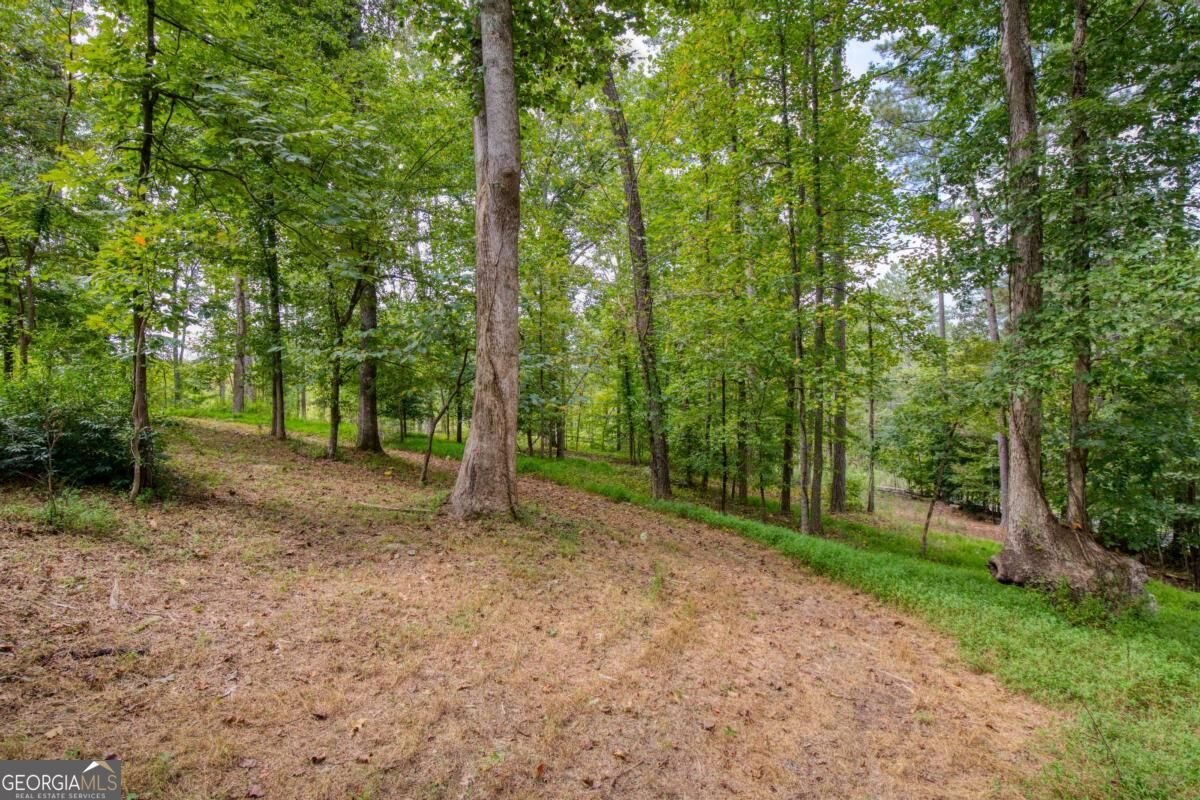 7615 Whitmire Road Cumming - Photo 37