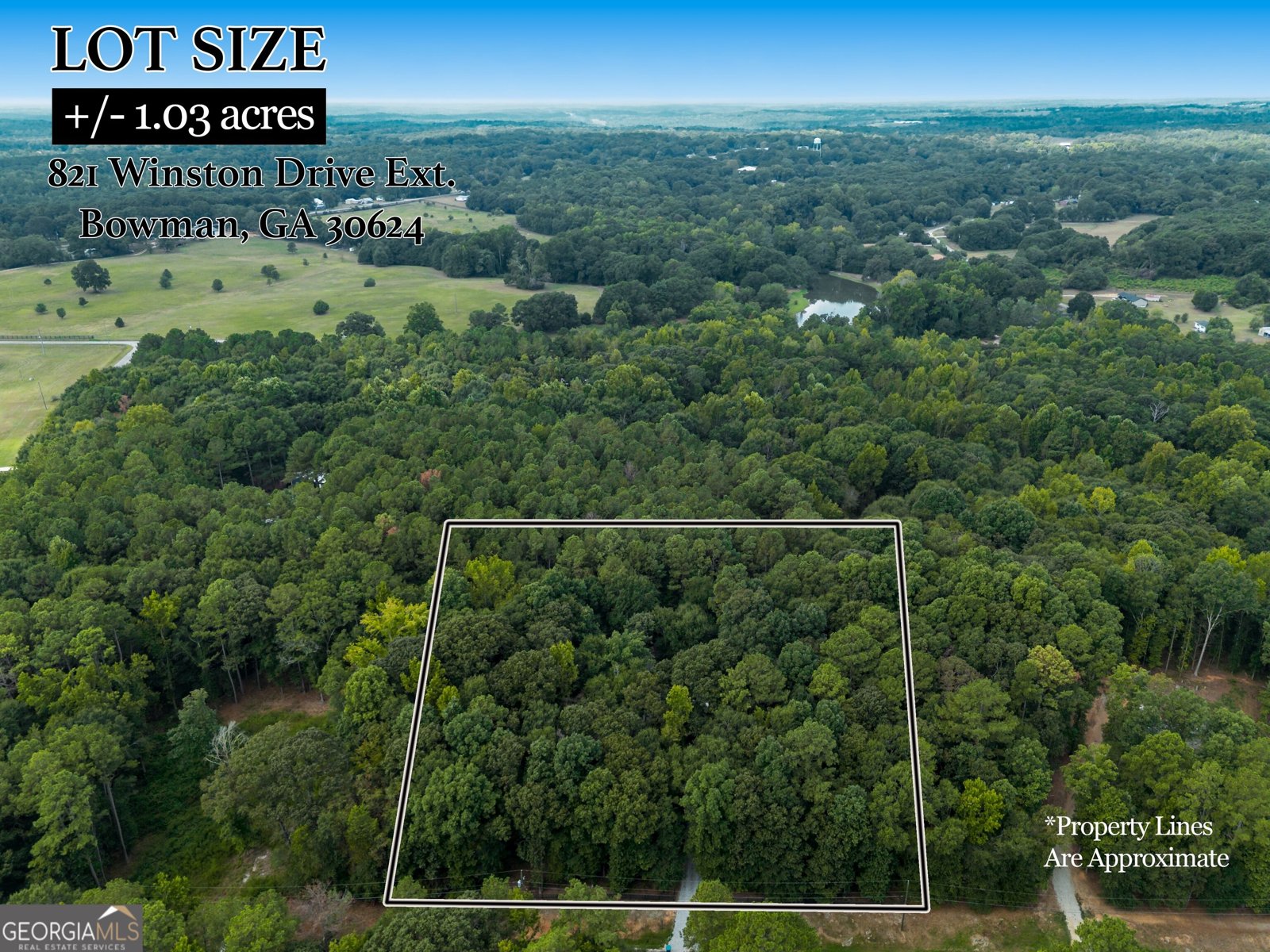 821 Winston Drive Extension Bowman - Photo 21