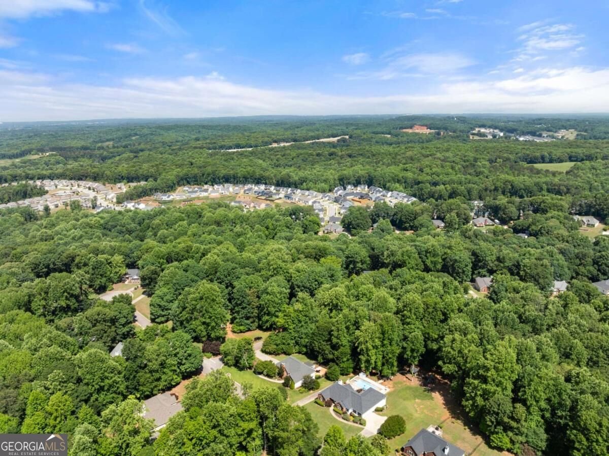 207 Nugget Trail Braselton - Photo 54