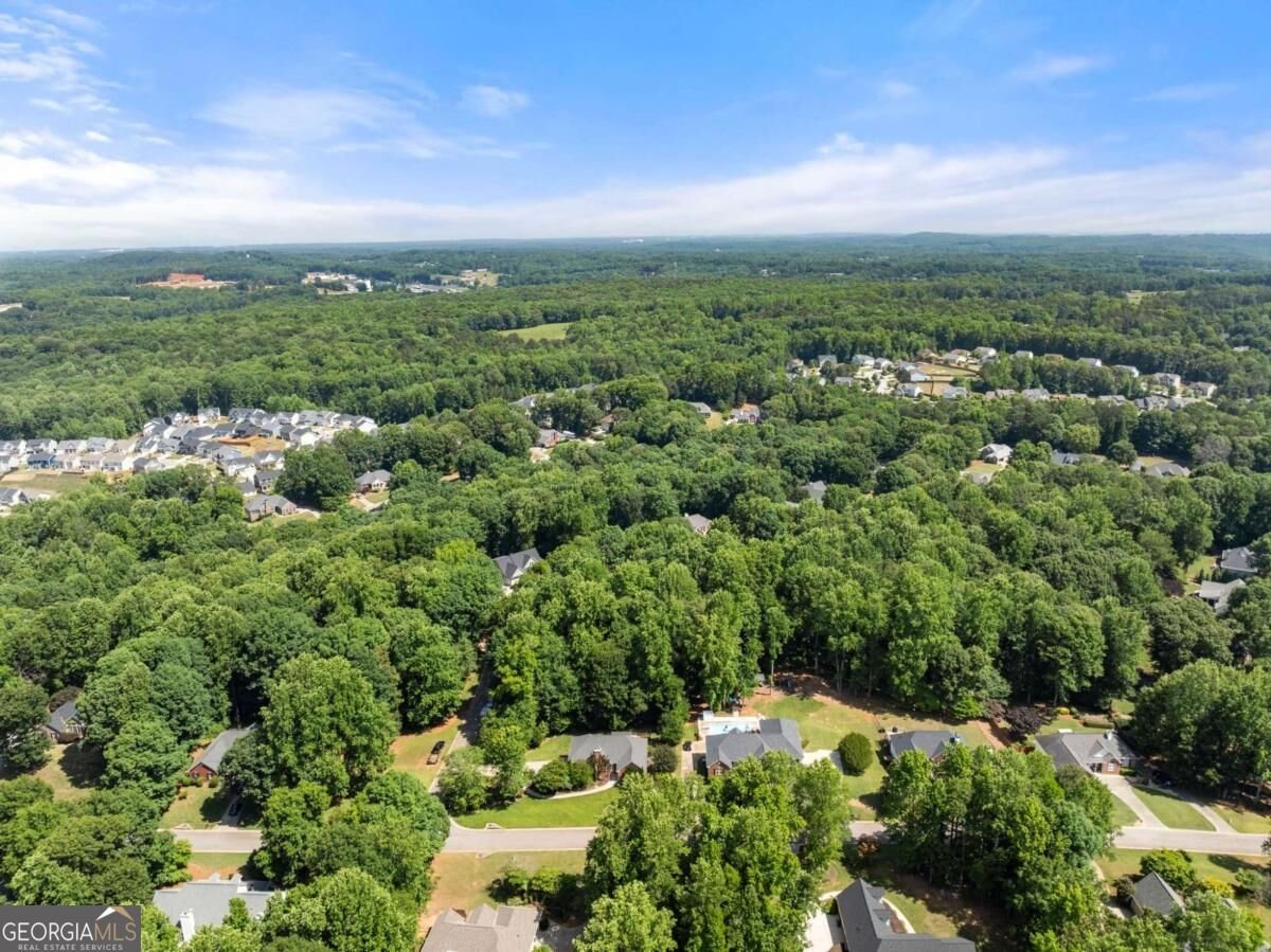 207 Nugget Trail Braselton - Photo 55