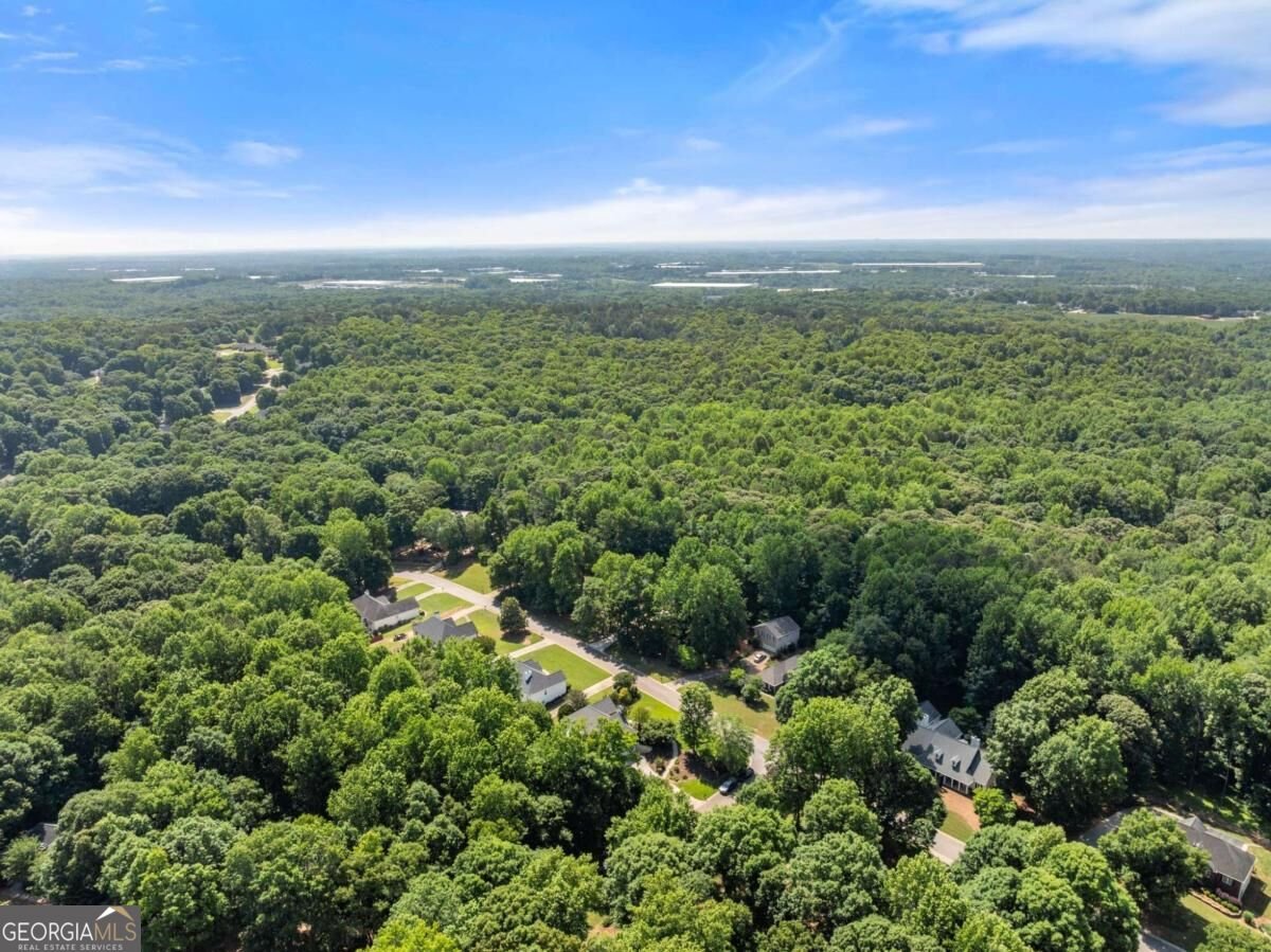 207 Nugget Trail Braselton - Photo 58
