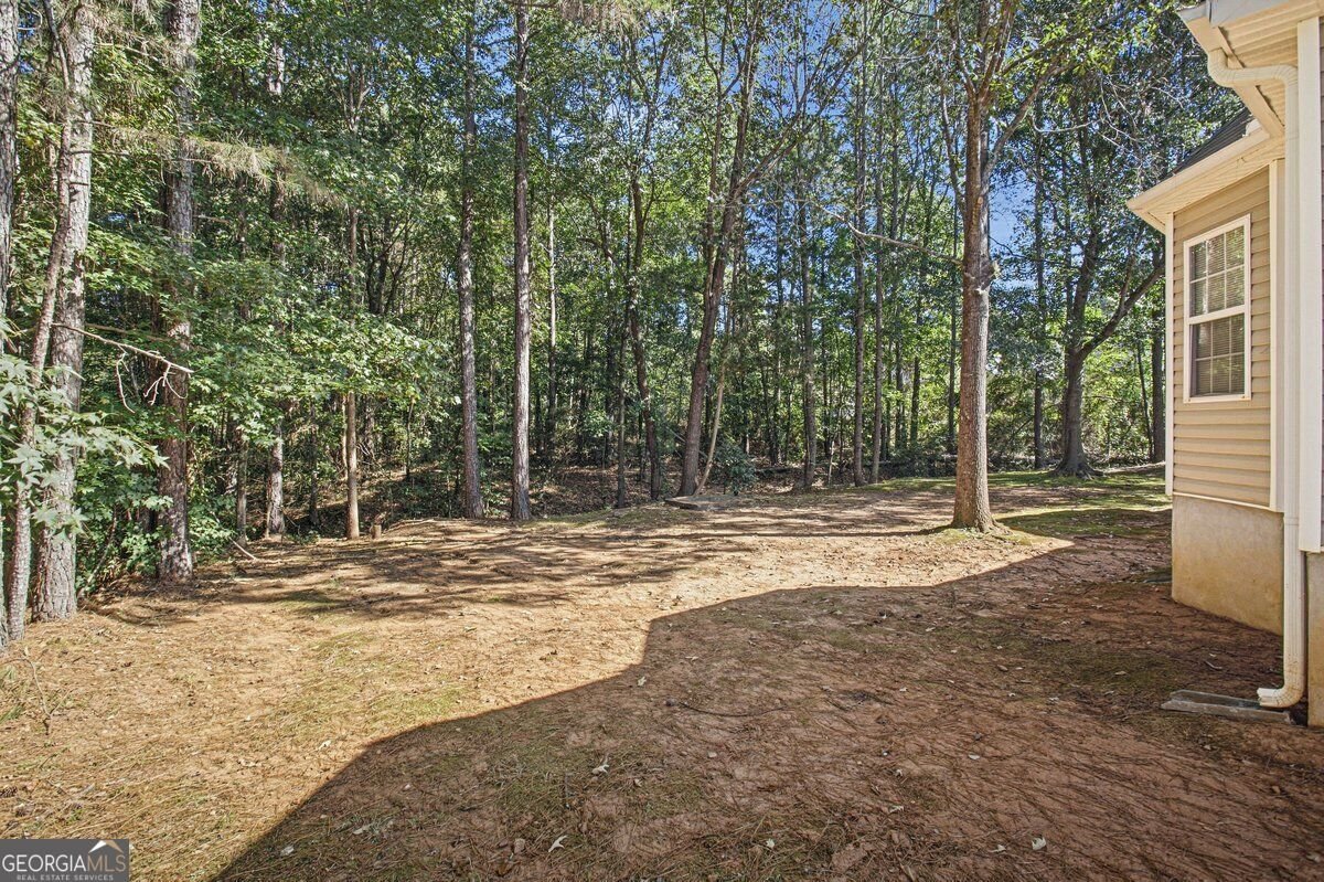 50 Macadamia Court Covington - Photo 8