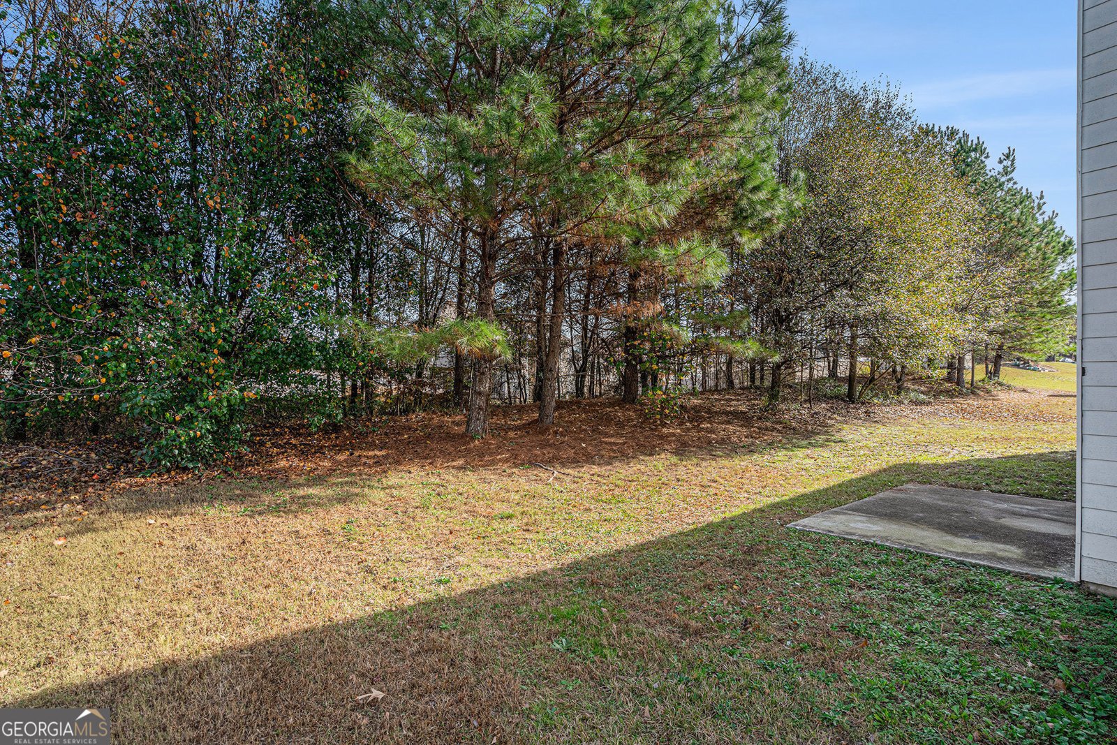1492 Saint George Place Conyers - Photo 29