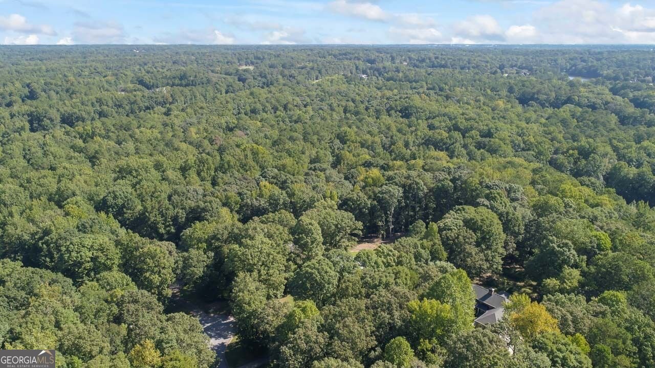 2522 Chimney Ridge Drive Conyers - Photo 57