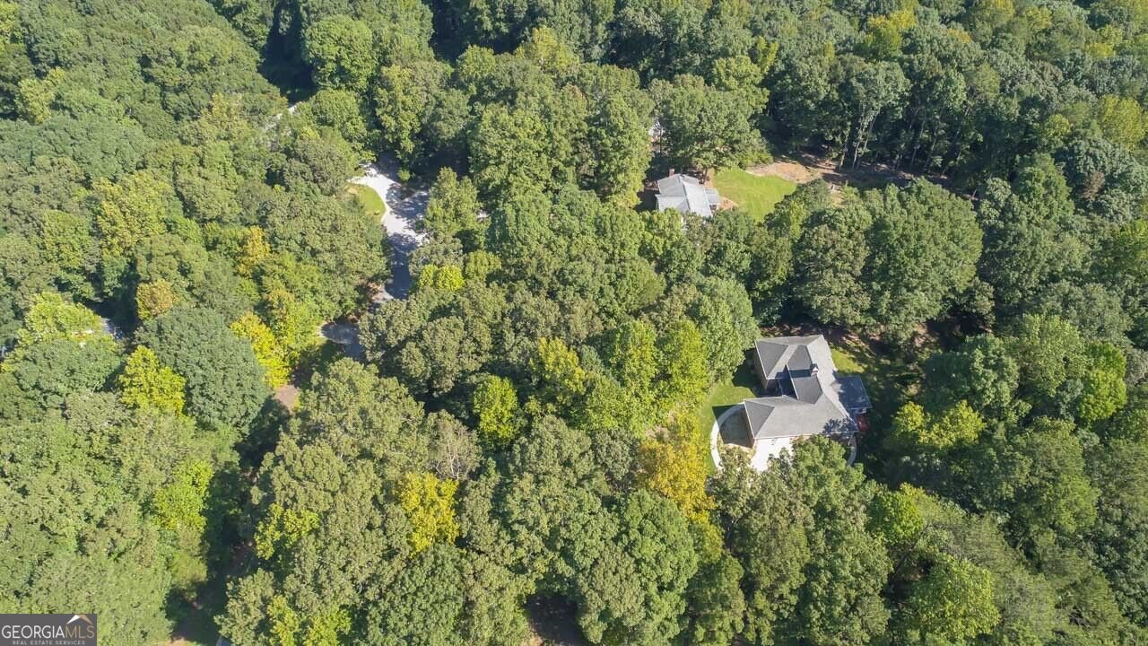2522 Chimney Ridge Drive Conyers - Photo 58
