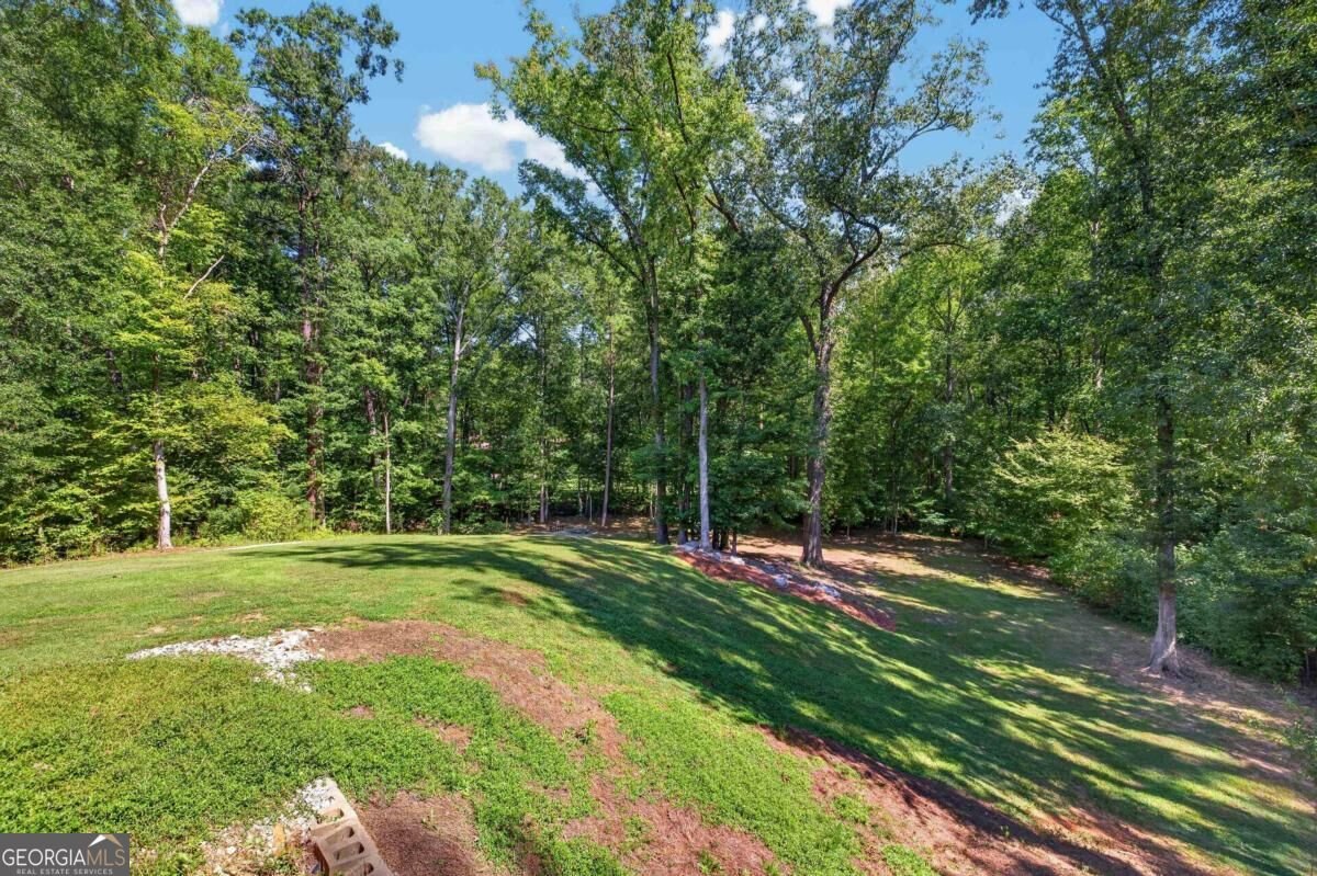 1331 Heidi Trail Buckhead - Photo 53
