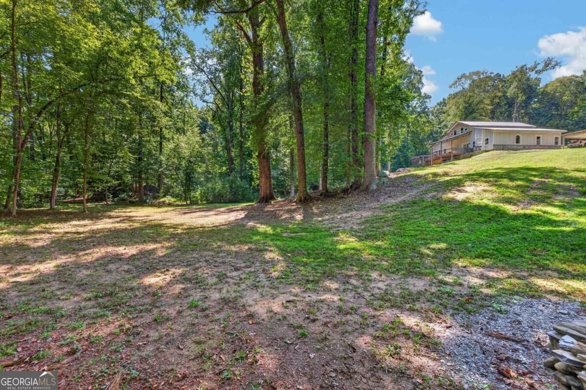 1331 Heidi Trail Buckhead - Photo 57