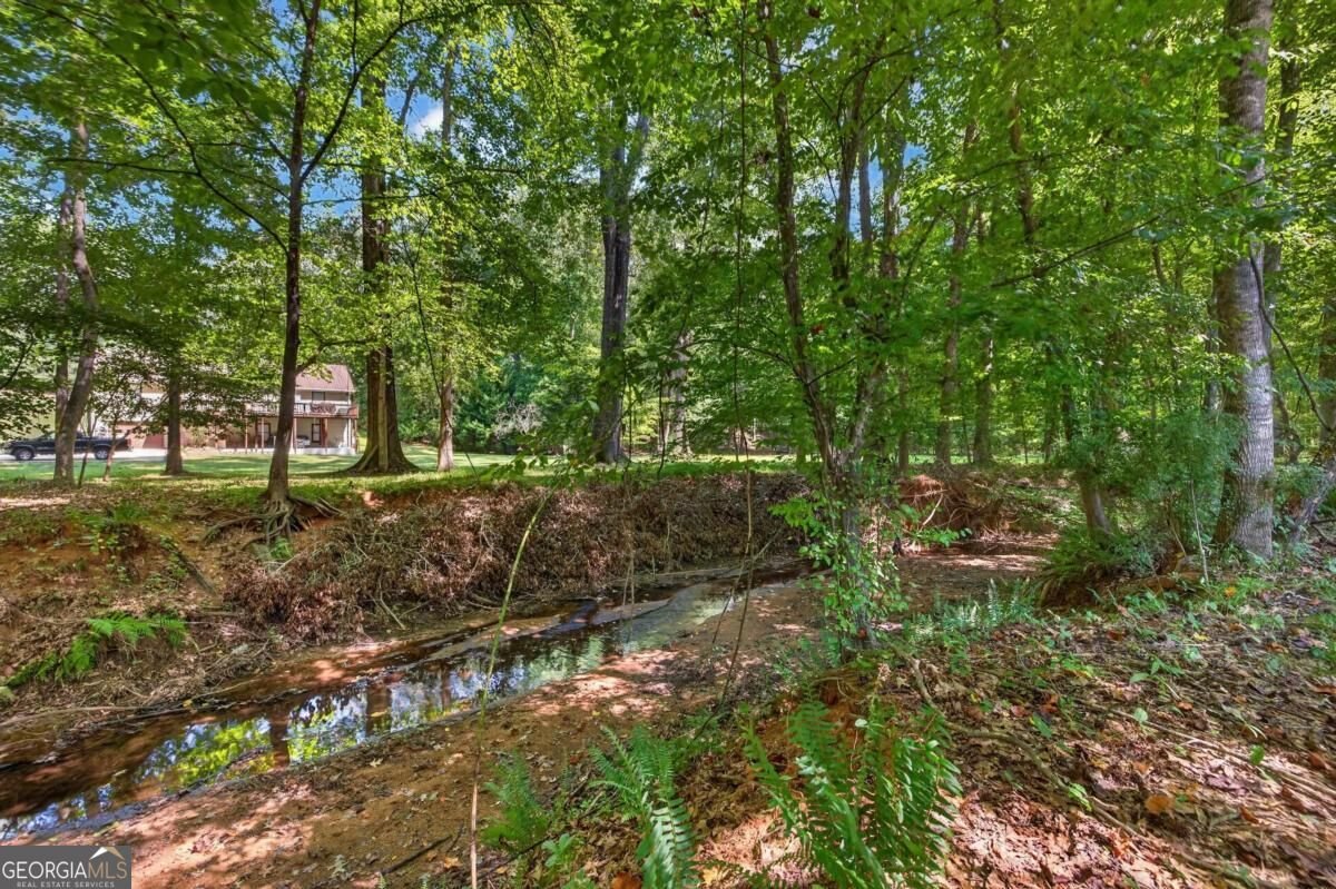 1331 Heidi Trail Buckhead - Photo 58