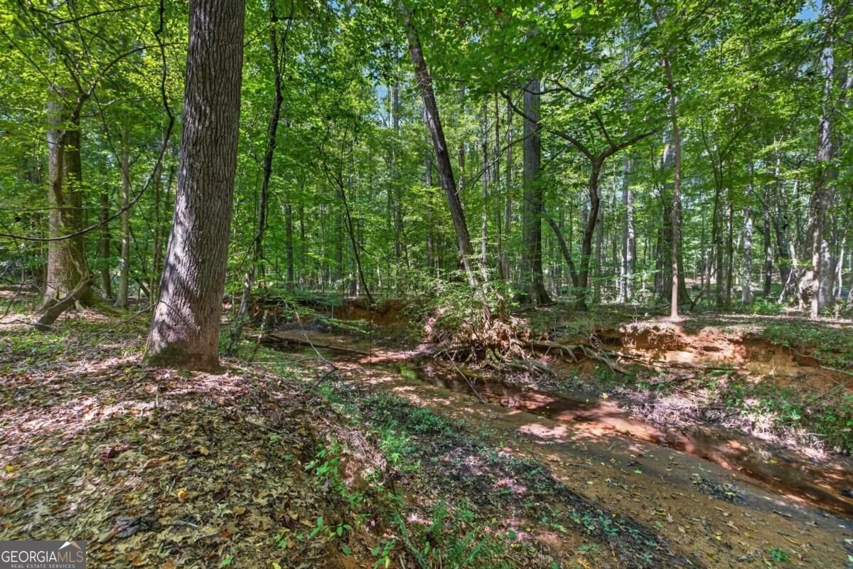 1331 Heidi Trail Buckhead - Photo 59