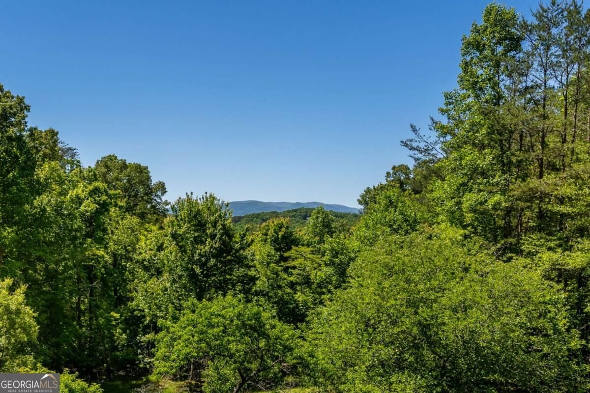229 Old Mill Pond Road Mineral Bluff - Photo 56