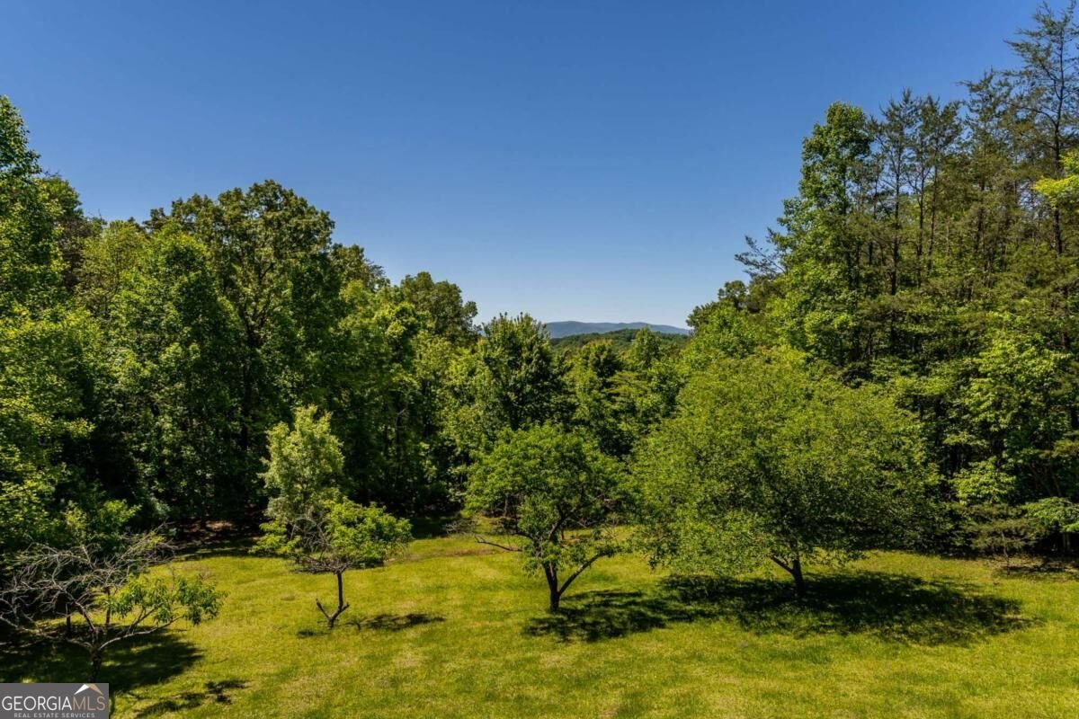 229 Old Mill Pond Road Mineral Bluff - Photo 58