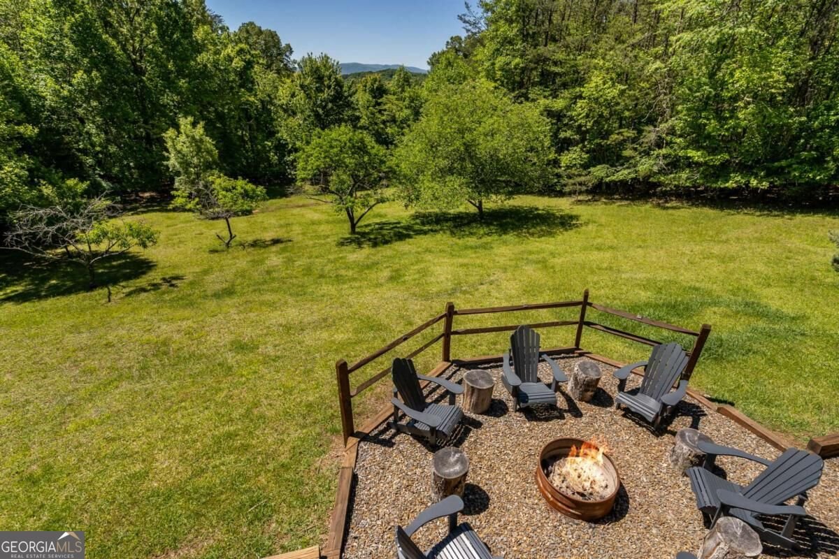 229 Old Mill Pond Road Mineral Bluff - Photo 61